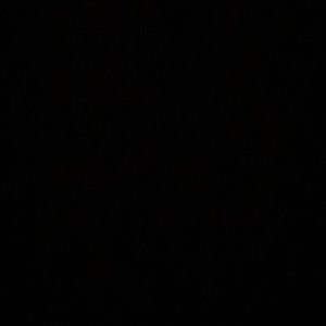 Meet your Posher, Dichelle